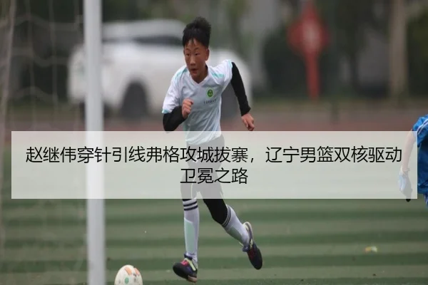 zhao-ji-wei-chuan-zhen-yin-xian-fu-ge-gong-cheng-ba-zhai-liao-ning-nan-lan-shuang-he-qu-dong-wei-mian-zhi-lu-3-266.jpg