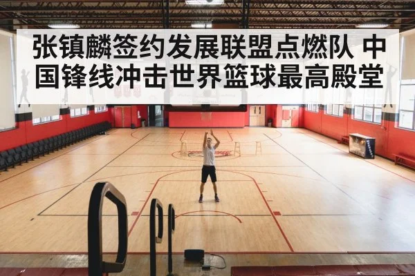 张镇麟签约发展联盟点燃队 中国锋线冲击世界篮球最高殿堂
