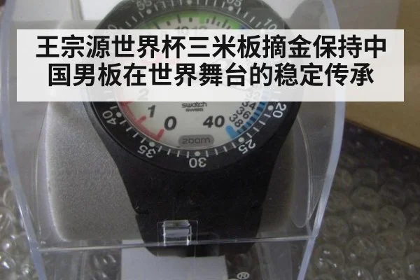 王宗源世界杯三米板摘金保持中国男板在世界舞台的稳定传承